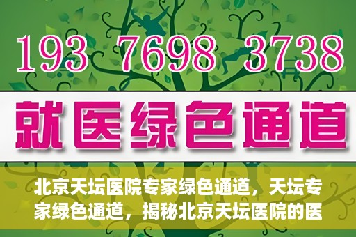 北京天坛医院专家绿色通道，天坛专家绿色通道，揭秘北京天坛医院的医疗专家服务通道