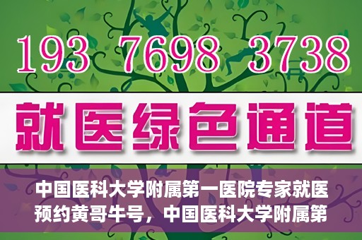中国医科大学附属第一医院专家就医预约黄哥牛号，中国医科大学附属第一医院专家黄哥牛号预约就医攻略
