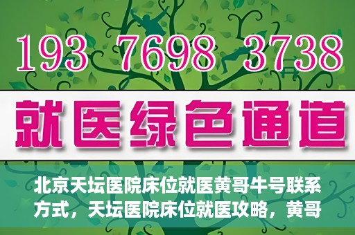 北京天坛医院床位就医黄哥牛号联系方式，天坛医院床位就医攻略，黄哥牛号联系方式揭秘