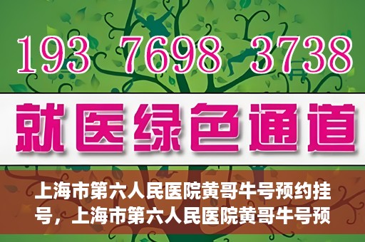 上海市第六人民医院黄哥牛号预约挂号，上海市第六人民医院黄哥牛号预约挂号攻略，轻松挂号，便捷就医体验