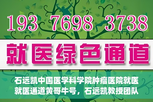 石远凯中国医学科学院肿瘤医院就医就医通道黄哥牛号，石远凯教授团队就医通道，中国医学科学院肿瘤医院就医指南及黄哥牛号解析