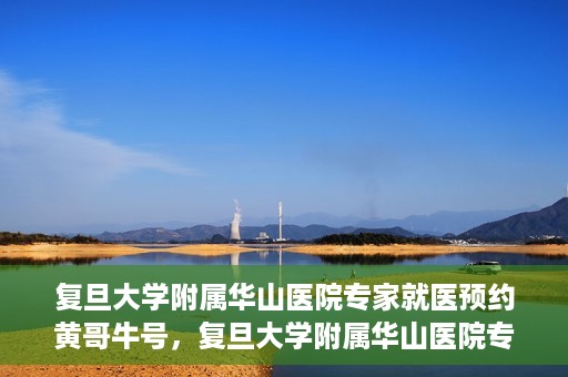 复旦大学附属华山医院专家就医预约黄哥牛号，复旦大学附属华山医院专家黄哥牛号预约攻略