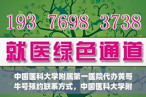 中国医科大学附属第一医院代办黄哥牛号预约联系方式，中国医科大学附属第一医院预约挂号联系方式，黄哥牛号预约服务解析