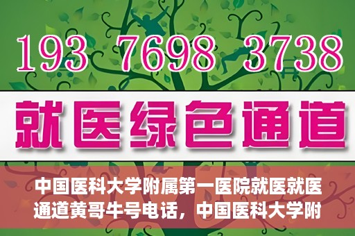 中国医科大学附属第一医院就医就医通道黄哥牛号电话，中国医科大学附属第一医院就医通道解析，黄哥牛号电话及其服务详解