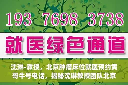 沈琳-教授，北京肿瘤床位就医预约黄哥牛号电话，揭秘沈琳教授团队北京肿瘤床位预约背后的故事，黄哥牛号电话就医攻略