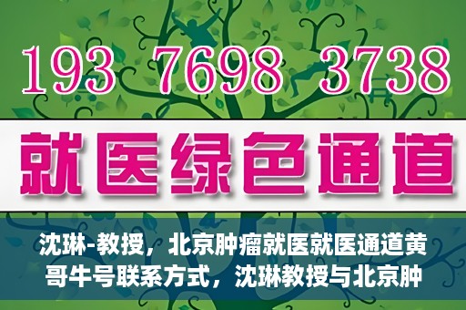 沈琳-教授，北京肿瘤就医就医通道黄哥牛号联系方式，沈琳教授与北京肿瘤就医通道，黄哥牛号联系方式揭秘
