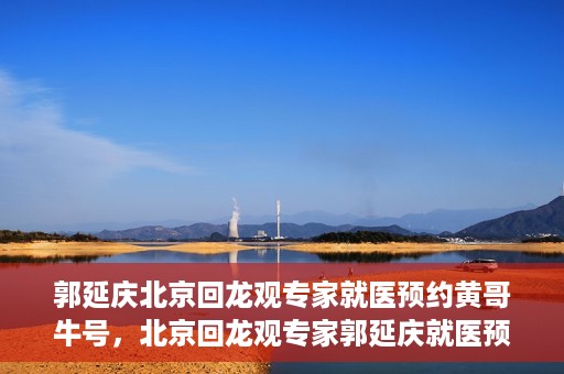 郭延庆北京回龙观专家就医预约黄哥牛号，北京回龙观专家郭延庆就医预约攻略，黄哥牛号助您轻松预约专家号