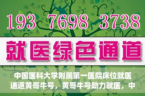 中国医科大学附属第一医院床位就医通道黄哥牛号，黄哥牛号助力就医，中国医科大学附属第一医院床位就医通道解析