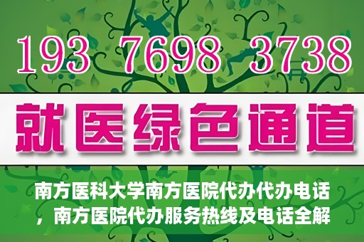 南方医科大学南方医院代办代办电话，南方医院代办服务热线及电话全解析