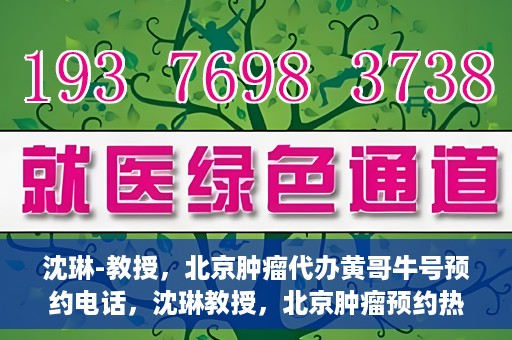 沈琳-教授，北京肿瘤代办黄哥牛号预约电话，沈琳教授，北京肿瘤预约热线解读及黄哥牛号预约电话揭秘