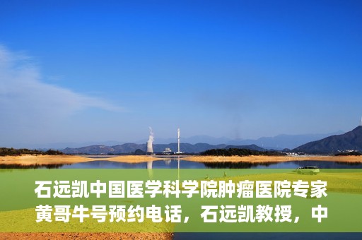 石远凯中国医学科学院肿瘤医院专家黄哥牛号预约电话，石远凯教授，中国医学科学院肿瘤医院专家挂号预约攻略及黄哥牛号联系电话揭秘