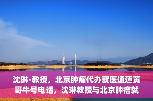 沈琳-教授，北京肿瘤代办就医通道黄哥牛号电话，沈琳教授与北京肿瘤就医通道，黄哥牛号电话背后的故事