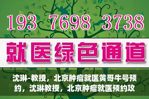 沈琳-教授，北京肿瘤就医黄哥牛号预约，沈琳教授，北京肿瘤就医预约攻略——黄哥牛号解读