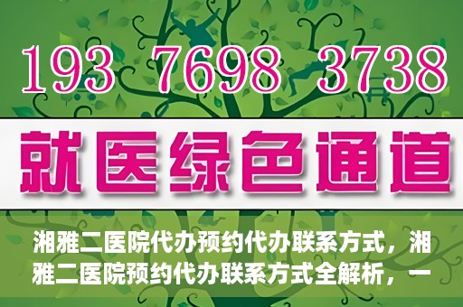 湘雅二医院代办预约代办联系方式，湘雅二医院预约代办联系方式全解析，一键预约，轻松就医！