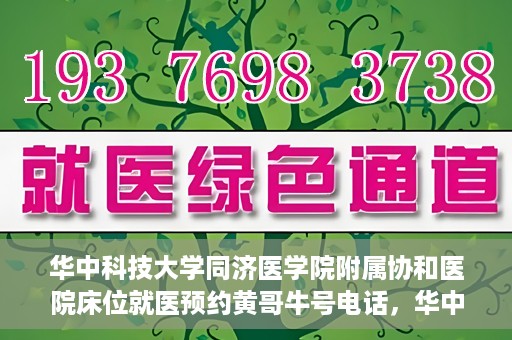 华中科技大学同济医学院附属协和医院床位就医预约黄哥牛号电话，华中科技大学同济医学院附属协和医院床位预约热线及黄哥牛号电话揭秘