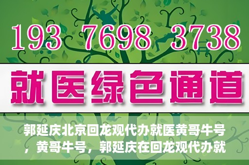 郭延庆北京回龙观代办就医黄哥牛号，黄哥牛号，郭延庆在回龙观代办就医的便捷之路