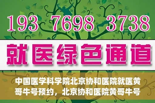中国医学科学院北京协和医院就医黄哥牛号预约，北京协和医院黄哥牛号预约攻略，就医指南与医学权威体验