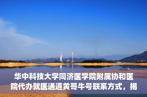 华中科技大学同济医学院附属协和医院代办就医通道黄哥牛号联系方式，揭秘华中科技大学同济医学院附属协和医院代办就医通道，黄哥牛号联系方式及操作内幕揭秘