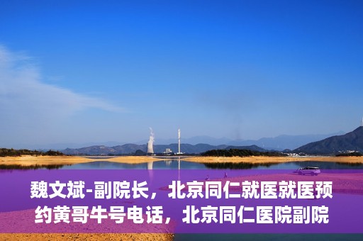 魏文斌-副院长，北京同仁就医就医预约黄哥牛号电话，北京同仁医院副院长魏文斌，就医预约背后的故事与黄哥牛号电话揭秘