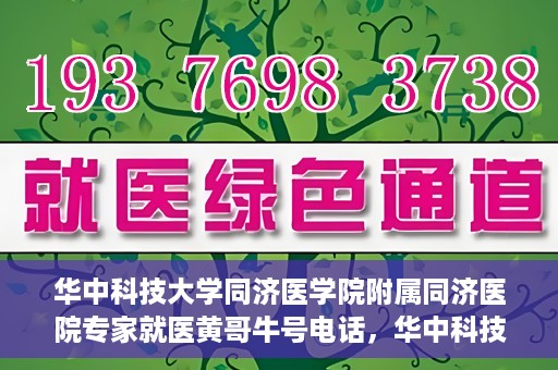华中科技大学同济医学院附属同济医院专家就医黄哥牛号电话，华中科技大学同济医院专家黄哥牛号电话就医指南