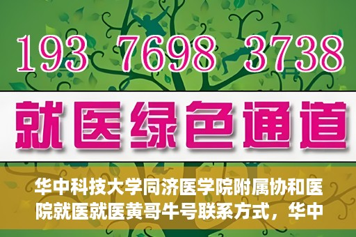 华中科技大学同济医学院附属协和医院就医就医黄哥牛号联系方式，华中科技大学同济医学院附属协和医院就医指南，黄哥牛号联系方式揭秘