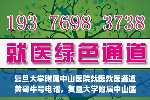 复旦大学附属中山医院就医就医通道黄哥牛号电话，复旦大学附属中山医院就医通道解析，黄哥牛号电话详解与就医指南