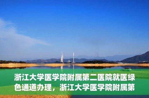 浙江大学医学院附属第二医院就医绿色通道办理，浙江大学医学院附属第二医院就医绿色通道办理详解与指南