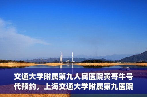 交通大学附属第九人民医院黄哥牛号代预约，上海交通大学附属第九医院黄哥预约挂号服务启动，便捷就医新选择