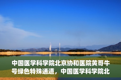 中国医学科学院北京协和医院黄哥牛号绿色特殊通道，中国医学科学院北京协和医院黄哥牛号，绿色特殊通道开启健康之门