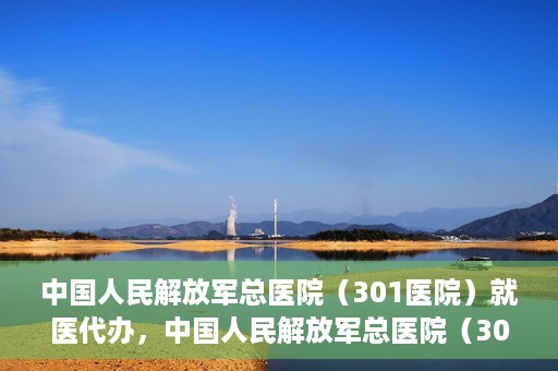 中国人民解放军总医院（301医院）就医代办，中国人民解放军总医院（301医院）就医代办服务详解