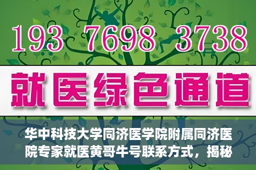 华中科技大学同济医学院附属同济医院专家就医黄哥牛号联系方式，揭秘黄哥牛号背后的专家，华中科技大学同济医院同济医院专家就医攻略与联系方式揭秘