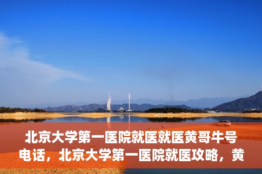 北京大学第一医院就医就医黄哥牛号电话，北京大学第一医院就医攻略，黄哥牛号电话一键预约挂号服务