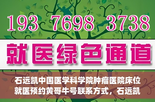 石远凯中国医学科学院肿瘤医院床位就医预约黄哥牛号联系方式，石远凯教授，中国医学科学院肿瘤医院床位预约指南与联系方式揭秘
