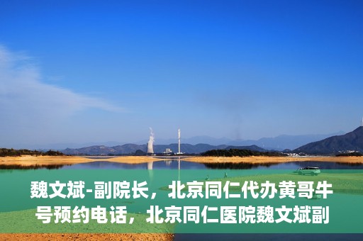 魏文斌-副院长，北京同仁代办黄哥牛号预约电话，北京同仁医院魏文斌副院长，黄哥牛号预约电话解读与代办服务解析