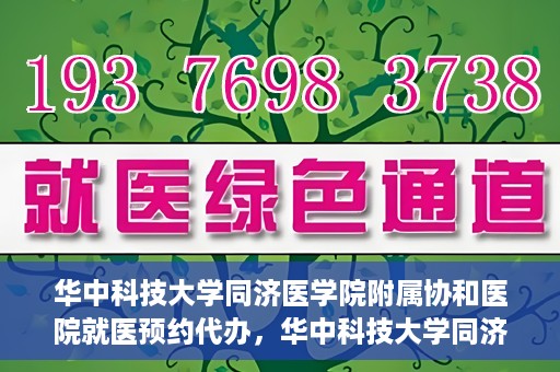 华中科技大学同济医学院附属协和医院就医预约代办，华中科技大学同济医学院附属协和医院就医预约代办服务详解
