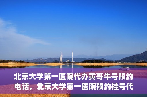 北京大学第一医院代办黄哥牛号预约电话，北京大学第一医院预约挂号代办电话黄哥牛号预约服务详解