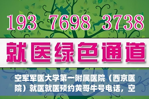 空军军医大学第一附属医院（西京医院）就医就医预约黄哥牛号电话，空军军医大学第一附属医院（西京医院）就医预约指南及黄哥牛号电话咨询热线