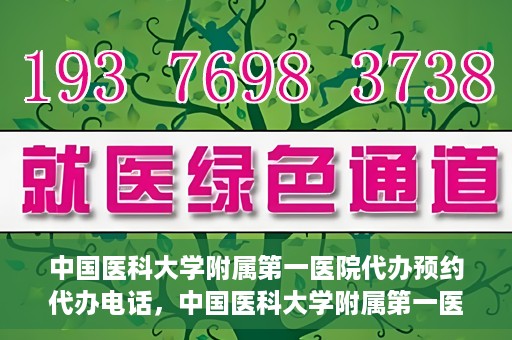 中国医科大学附属第一医院代办预约代办电话，中国医科大学附属第一医院预约代办服务热线详解