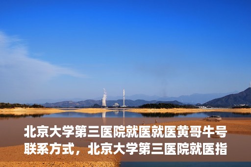 北京大学第三医院就医就医黄哥牛号联系方式，北京大学第三医院就医指南，黄哥牛号联系方式揭秘