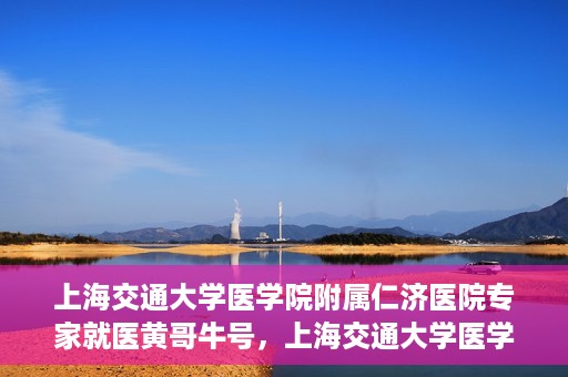 上海交通大学医学院附属仁济医院专家就医黄哥牛号，上海交通大学医学院附属仁济医院专家黄哥牛号为患者解忧