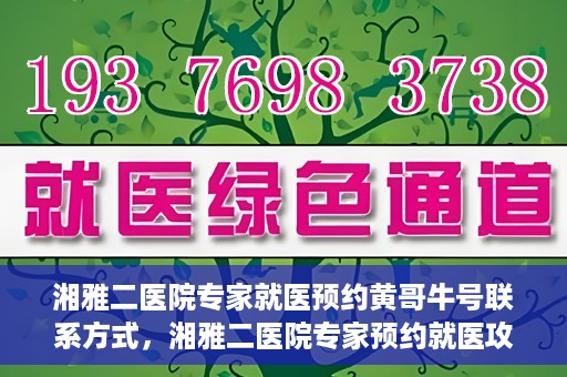 湘雅二医院专家就医预约黄哥牛号联系方式，湘雅二医院专家预约就医攻略，黄哥牛号联系方式揭秘