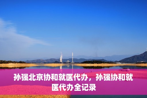 孙强北京协和就医代办，孙强协和就医代办全记录