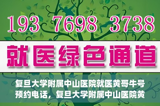 复旦大学附属中山医院就医黄哥牛号预约电话，复旦大学附属中山医院黄哥牛号预约电话详解，就医挂号新攻略