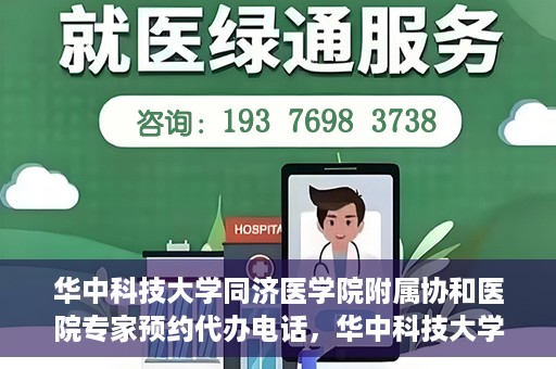 华中科技大学同济医学院附属协和医院专家预约代办电话，华中科技大学同济医学院附属协和医院专家预约代办热线服务解析