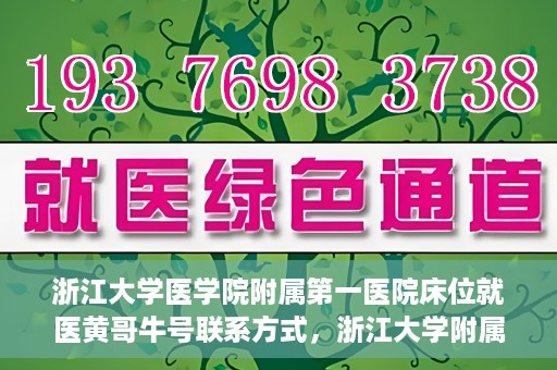 浙江大学医学院附属第一医院床位就医黄哥牛号联系方式，浙江大学附属第一医院床位就医指南，黄哥牛号联系方式揭秘
