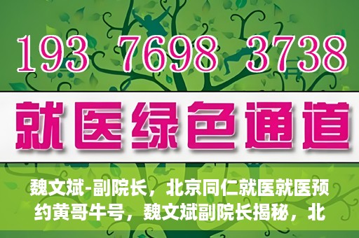 魏文斌-副院长，北京同仁就医就医预约黄哥牛号，魏文斌副院长揭秘，北京同仁医院就医预约的黄哥牛号攻略