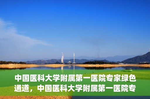 中国医科大学附属第一医院专家绿色通道，中国医科大学附属第一医院专家绿色通道，高效就医体验，专业医疗守护