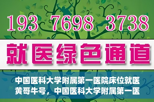 中国医科大学附属第一医院床位就医黄哥牛号，中国医科大学附属第一医院床位就医攻略，黄哥牛号助您轻松挂号就医