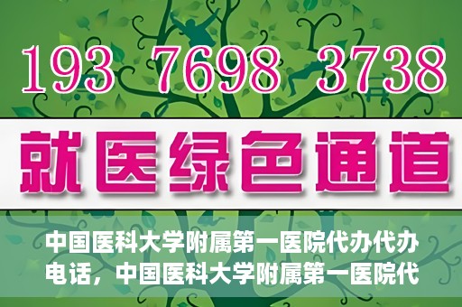 中国医科大学附属第一医院代办代办电话，中国医科大学附属第一医院代办服务热线电话揭秘