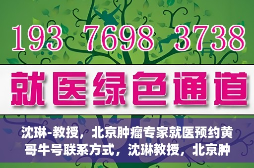 沈琳-教授，北京肿瘤专家就医预约黄哥牛号联系方式，沈琳教授，北京肿瘤专家预约攻略及黄哥牛号联系方式揭秘